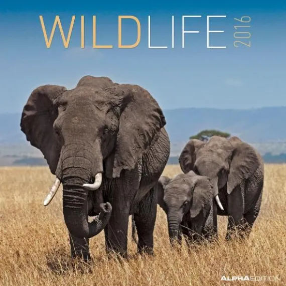 Calendario 2016 Wildlife