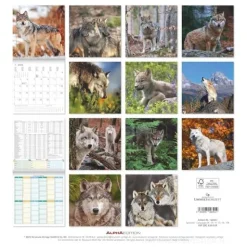 Calendario 2026 Wolves cm 30x30