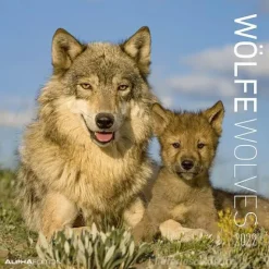 Calendario 2022 Wolves 30x30