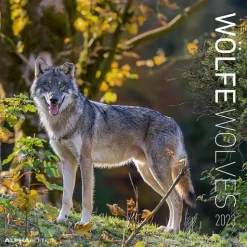 Calendario 2023 Wolves 30x30