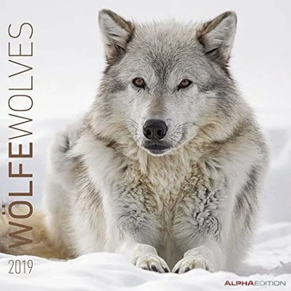 Calendario 2019 Wolves 30x30 cm