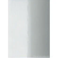 Confezione 10 fogli cartoncino argento cm 50x70 240 gr
