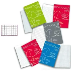 Confezione 30 fogli protocollo A4 quadretti 5mm
