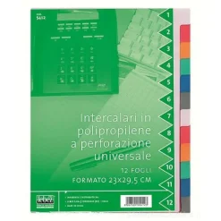 Confezione 12 separatori colorati in polipropilene a perforazione universale formato A4