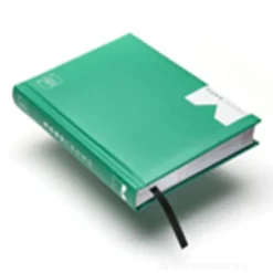 Diario 16 mesi non datato Monocromo Verde