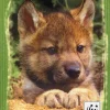 Diario WWF 12 mesi 2015-16 verde