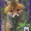 Diario 2017-2018 WWF 12 mesi viola