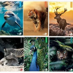 Maxi quaderno formato A4 fogli a righe A 80 grammi Animal (fantasie assortite)