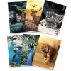 Maxi quaderno formato A4 fogli a quadretti Q 80 grammi Animal (fantasie assortite)