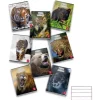 Maxi quaderno Pigna Animal 80 fogli a righe 1R formato A4 (fantasie assortite)