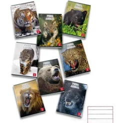Maxi quaderno Pigna Animal 80 fogli a righe 1R formato A4 (fantasie assortite)