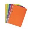 Maxi quaderno spiralato 80 fogli forati a righe 1R formato A4 (colori assortiti)