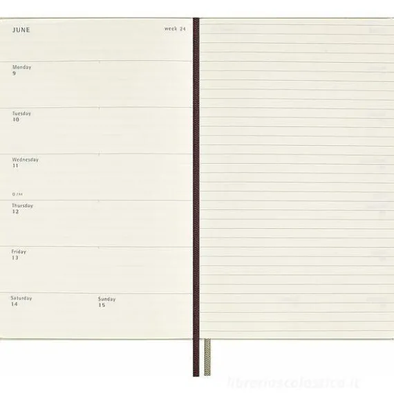 Moleskine 12 mesi - Agenda settimanale Limited Edition Incantesimi Harry Potter Wingardium Leviosa - Large copertina rigida fosforescente 2025