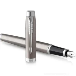 Penna stilografica IM SS punta fine (2143635)