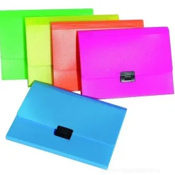 Porta documenti a soffietto 5 tasche A4 (colori assortiti)