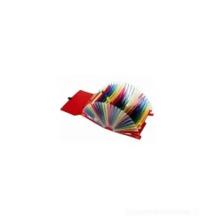 Porta documenti con 25 tasche colorate (colori assortiti)
