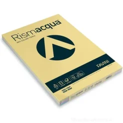Risma Luce 125 fogli colori assortiti tenui formato A3 200 gr
