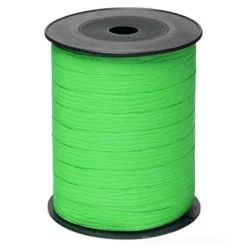 Rocchetto nastro regalo Paper 10mm x 250 metri menta