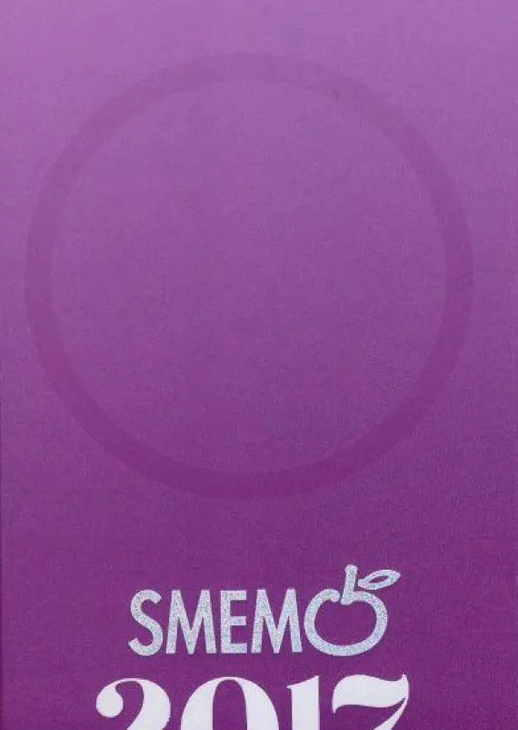 Smemo 2017. Diario Medium Viola - argento