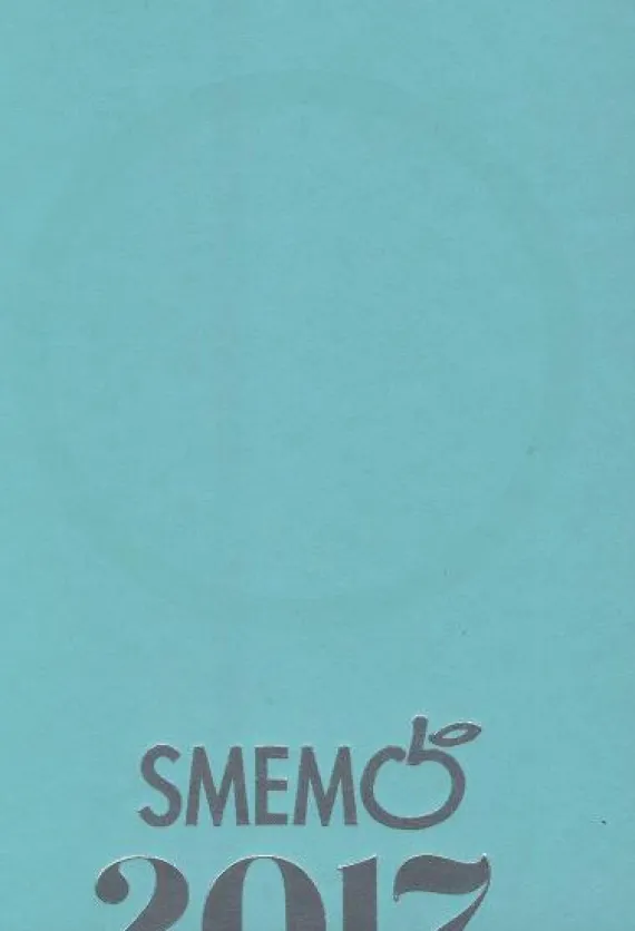Smemo 2017. Diario Small Azzurro - argento