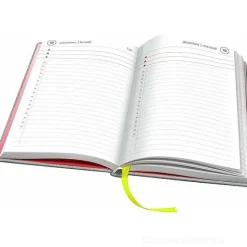 Uni Smemoranda 2024. Agenda 13 mesi giornaliera. Grigio