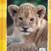 WWF Diario 2019 12 mesi giallo