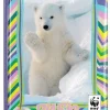 WWF Diario 2020/2021 12 mesi orso bianco
